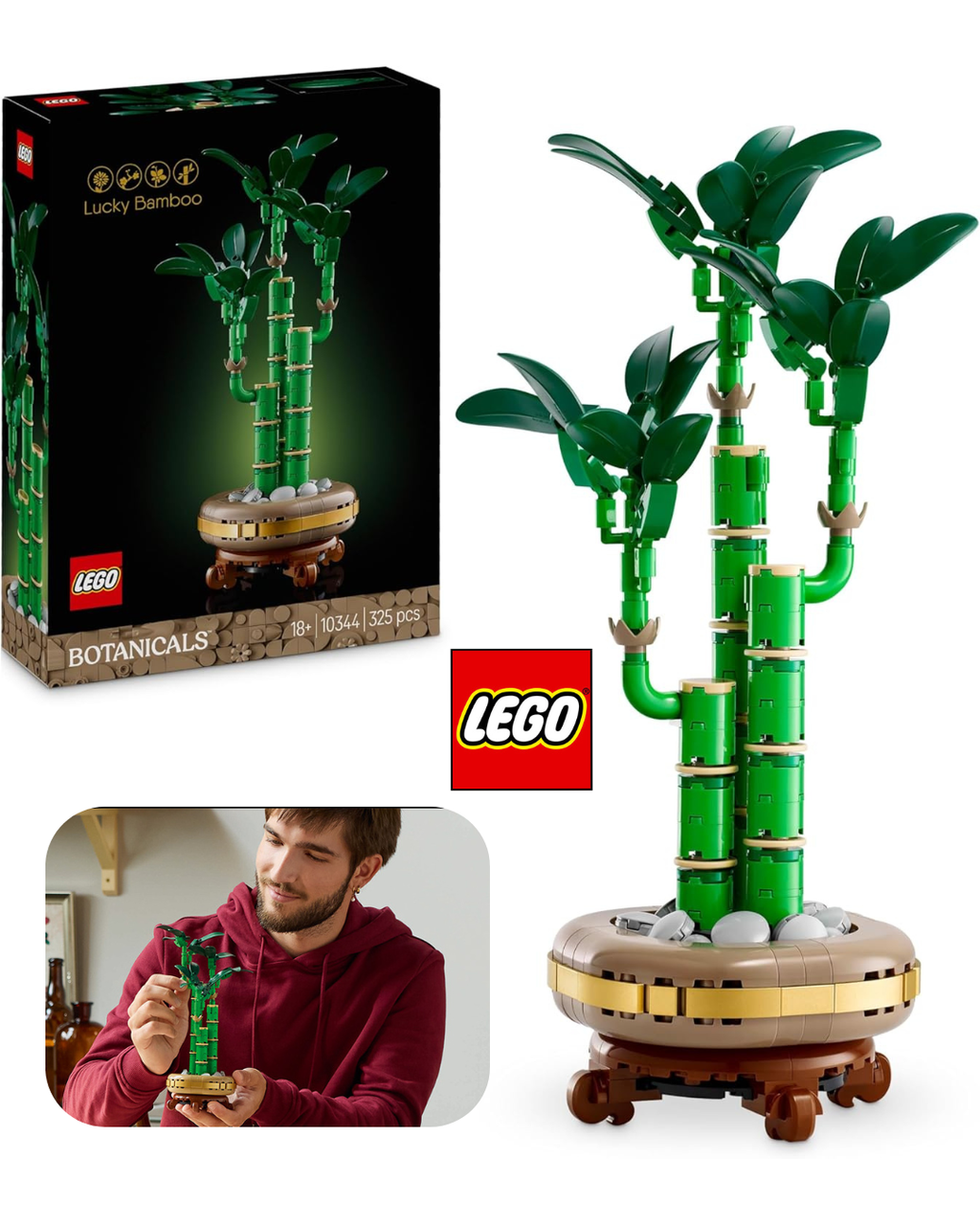 LEGO ICONS Botanicals Bambus *Klocki 10344*